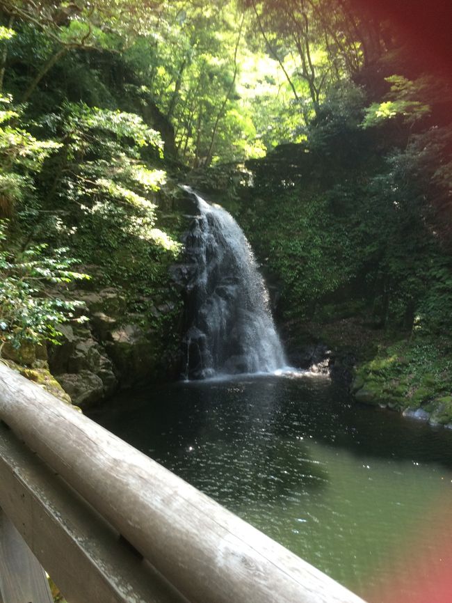 <br />　翌日はのんびりと、お散歩がてら歩いたあとは、名古屋に戻り<br /><br />　美味しいコーヒーのお店を教えて頂き、又ゆっくりとした<br /><br />　二日間でした。次回は、どこを計画してくれるかが楽しみです。