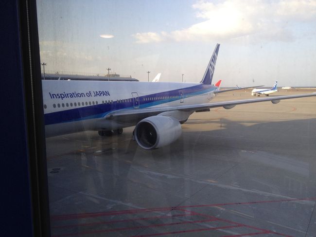 どうしても<br />空港ネタが長くなってしまう…<br /><br />子供のように走りまわりたいくらい飛行機めっちゃ!嬉しい☆