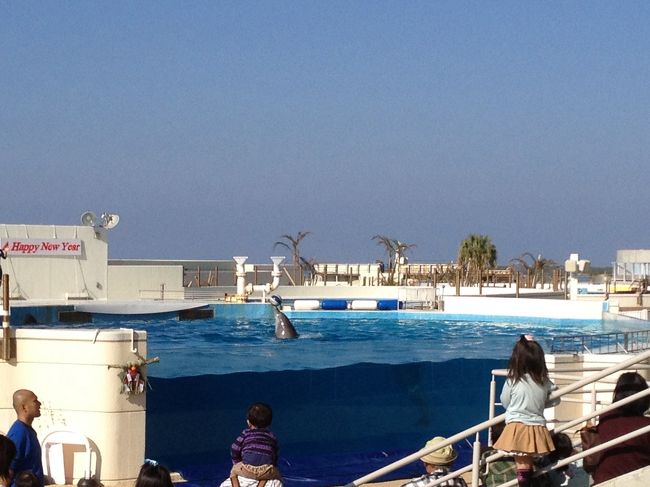 とても広い美ら海水族館<br /><br />イルカさんショーにダッシュ!!<br /><br />「オキちゃん劇場」