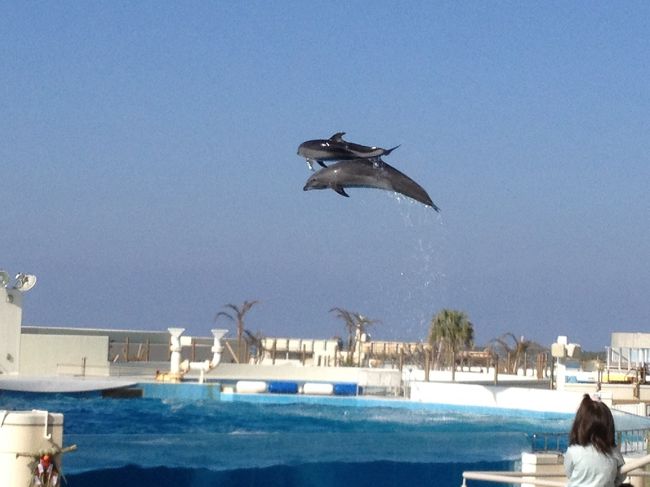 おもわず声がでます(笑<br /><br />すっごぉぉい