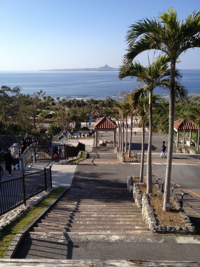 エレベーター降りて歩いてみました