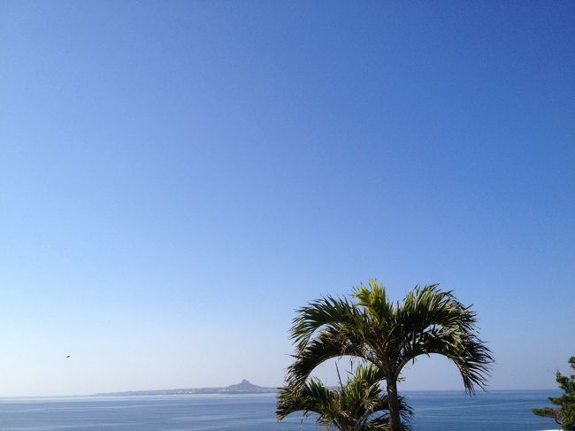 空飛びたぁ〜い！って心から思いました