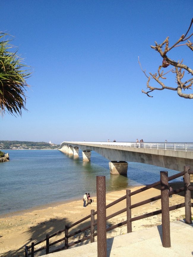 美ら海水族館を出て…お次は<br /><br />「古宇利大橋」<br /><br />手前に少し駐車場があったので<br />車とめて散策