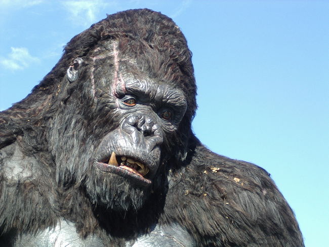 キングコング 写真立て ユニバーサルスタジオ ハリウッド キングコングのポスター 映画は1933制作 パブリックドメイン化し