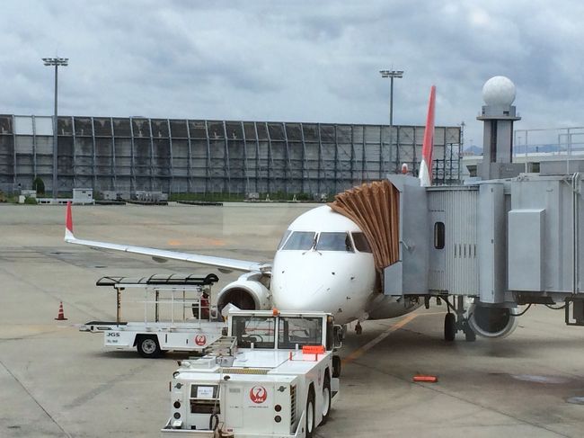 機材はE170<br />搭乗率は90%くらいかな