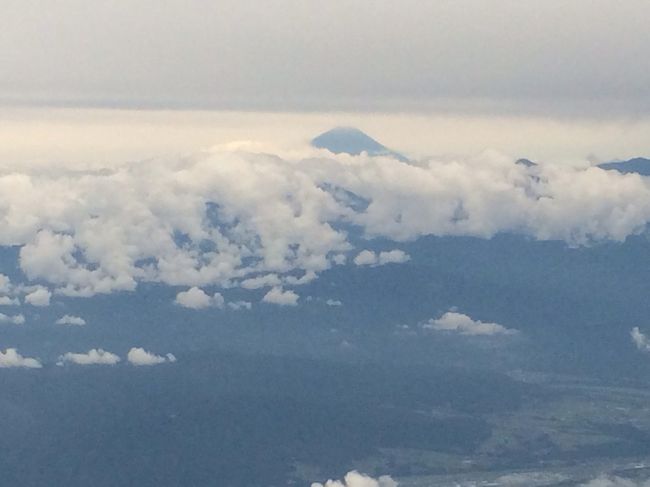 途中 富士山も見えました<br />機長さんの説明によると 琵琶湖から名古屋を通り北上し松本というルートとのことです