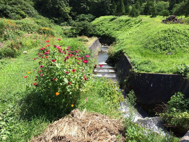 近くには こんな小川も流れていて<br />自然がいっぱい！癒されます♪