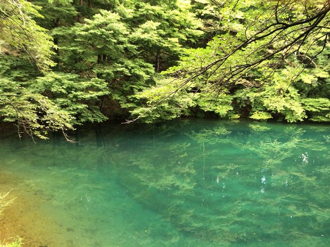 美しいブルーの水の色<br />ホント綺麗です！