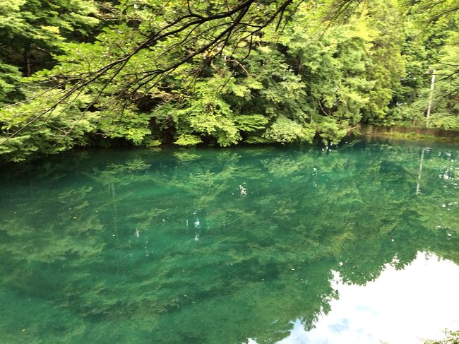 小さい泉ですが、周りをお散歩ができるように整備もされてました
