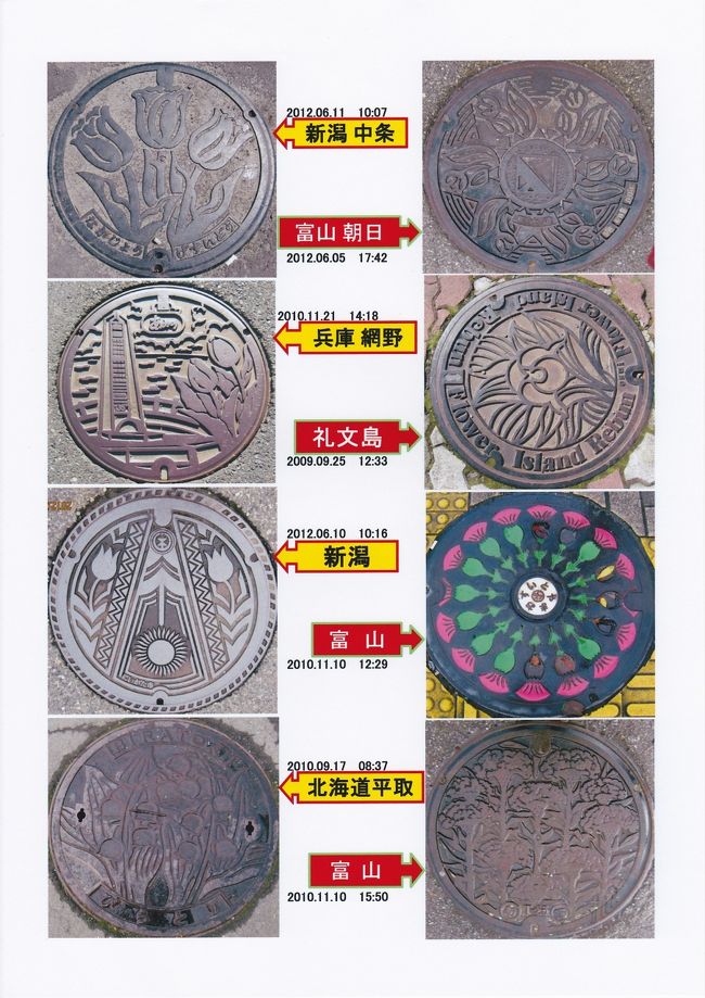 花シリーズ （ チューリップ）