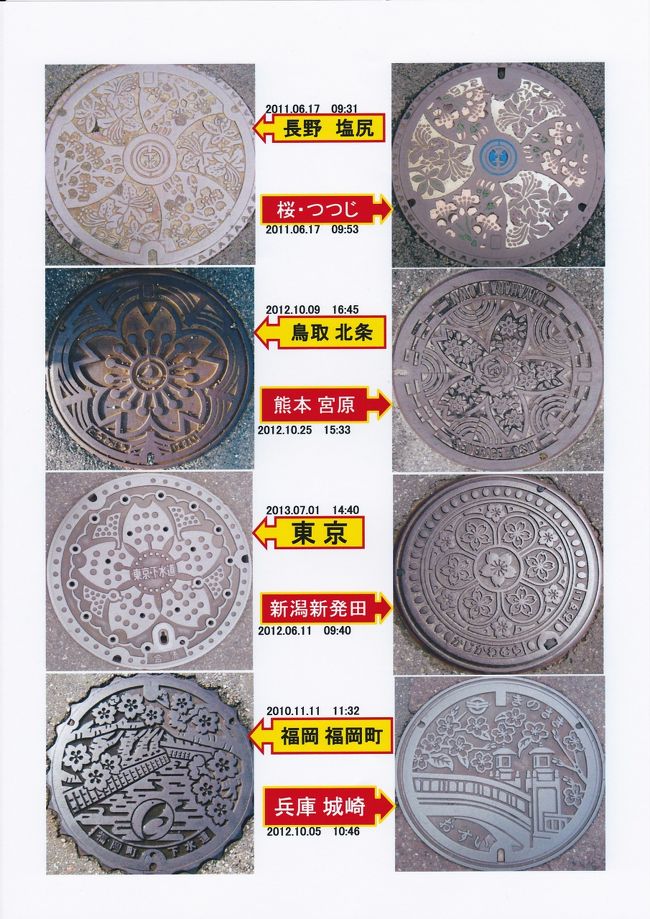 花シリーズ　（桜）