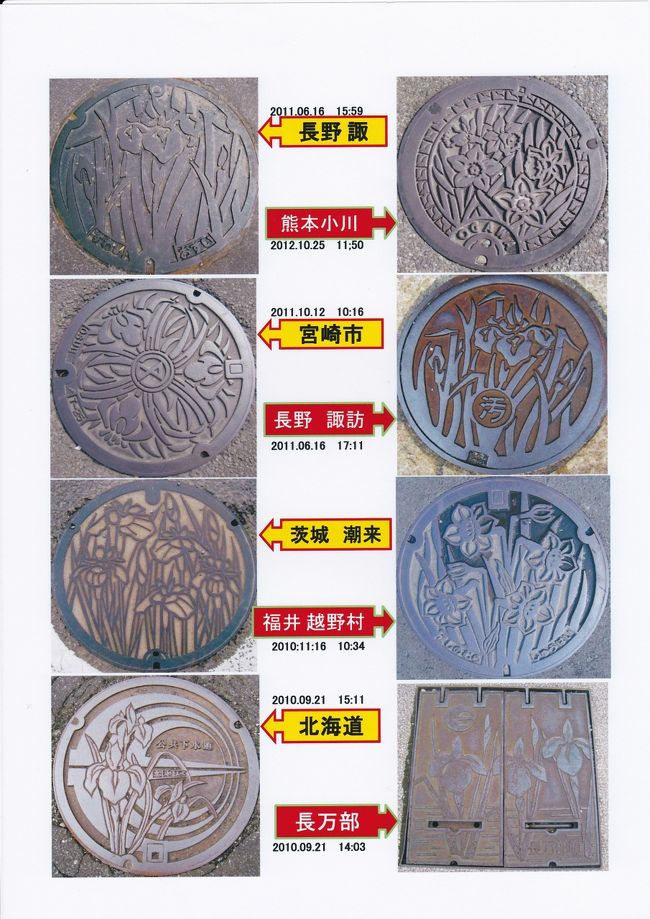 花シリーズ　（水仙、菖蒲）