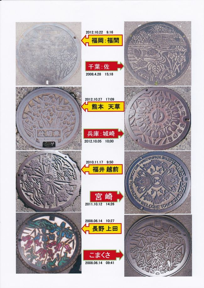 花シリーズ　（菖蒲、コマクサ）