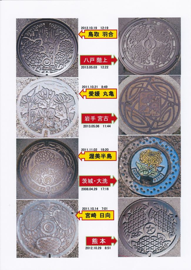 花シリーズ　（菊、紫陽花）