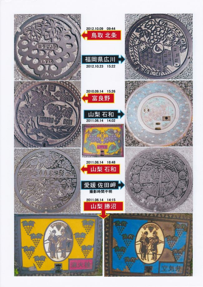 果実シリーズ　（ぶどう、みかん）