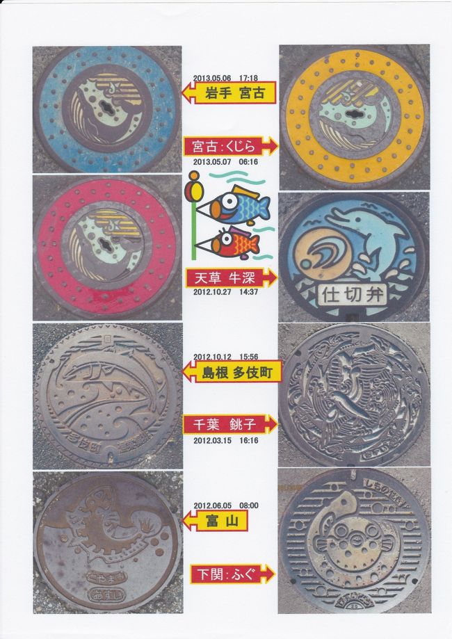 魚貝シリーズ　（鯨、イルカ、さんま、フグ）