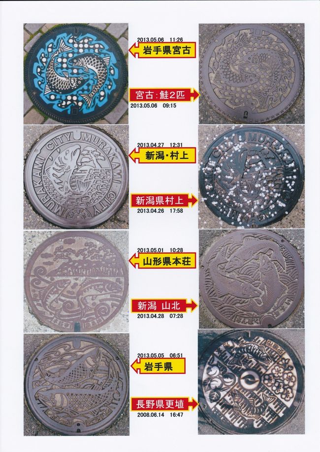 魚貝シリーズ　（鮭）