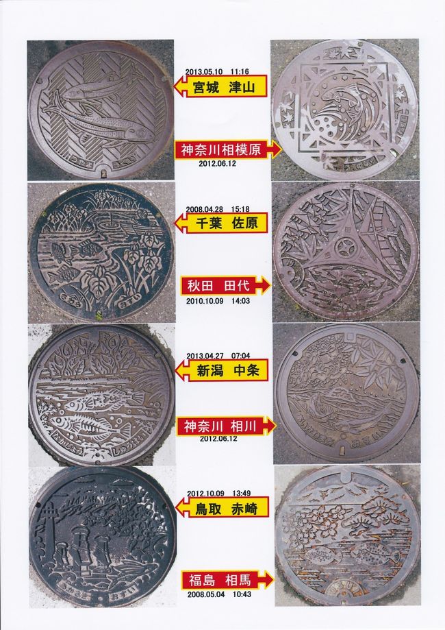 魚貝シリーズ　（鮎、鮒、ウグイ、鰈）