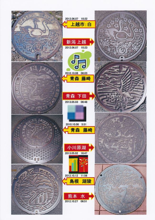 鳥シリーズ　（白鳥）