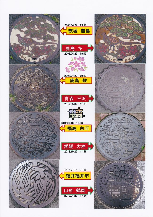 鳥シリーズ　（キジ）