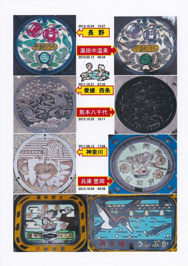 鳥シリーズ　（メジロ、カワセミ、コウノトリ）