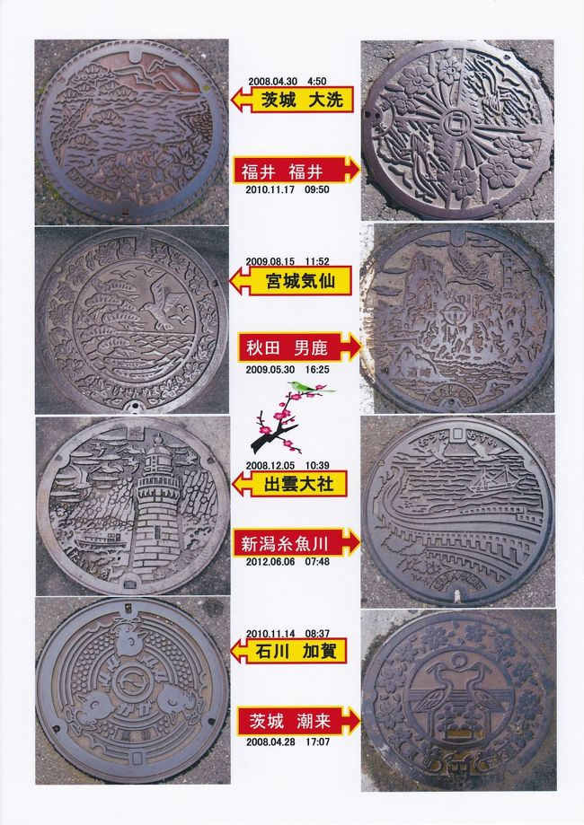 鳥シリーズ　（カモメ、ひよこ、白鷺）