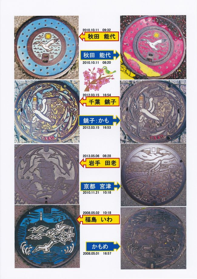 鳥シリーズ　（カモメ）