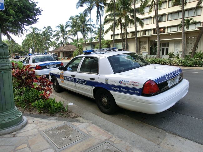 　毎回、なぜか写真に撮ってしまいます。