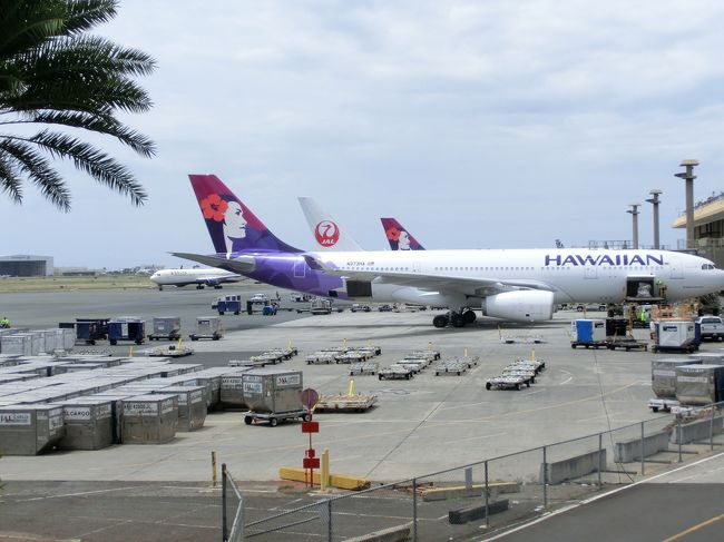　結局、ハワイアン航空で帰るのは、私たちだけのようでした。<br />空港で、近ツリの係員の方が待っていてくれて搭乗手続きを手伝<br />ってくれます。<br /><br />　スーツケースを計ると･･･「微妙だね」と言われ、急いで、荷物を<br />機内持ち込み用に移し替えました。なんとか、クリアー。<br />　近ツリの係員の方に感謝です。
