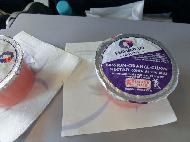 　グァバジュースを飲みながら、１時間ちょっとの<br />最後の空の旅。