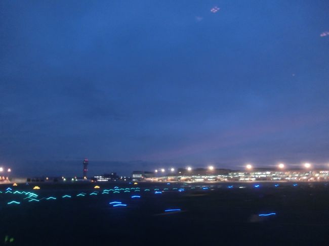 　そして、新千歳空港に到着です。<br /><br />　仙台から乗った人もいったん飛行機を降りて、国際線の搭乗口<br />で待つようです。定刻だと、２時間ほどでしょうか。<br /><br />　私たちはそのまま、税関を通って外へ。