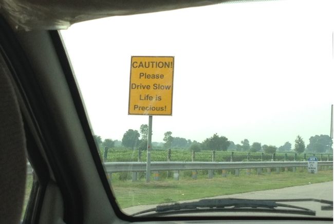 標識にも書いてあるよ。<br /><br />いのちだいじに