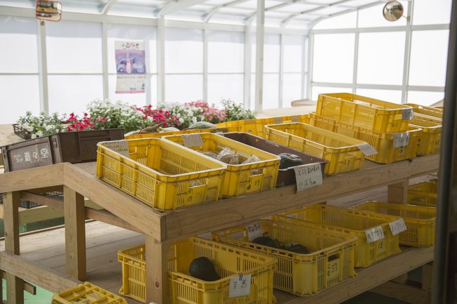 小さいお花も根付きで販売されています。次はゆっくり選んで買って帰りたいと思います。