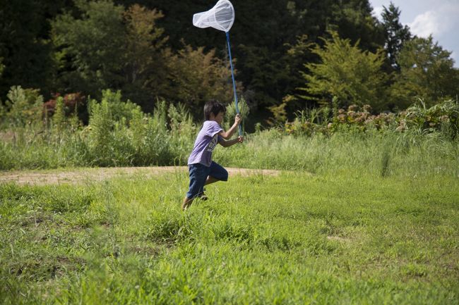 広い原っぱがあって子供たちは走り回っています（笑）