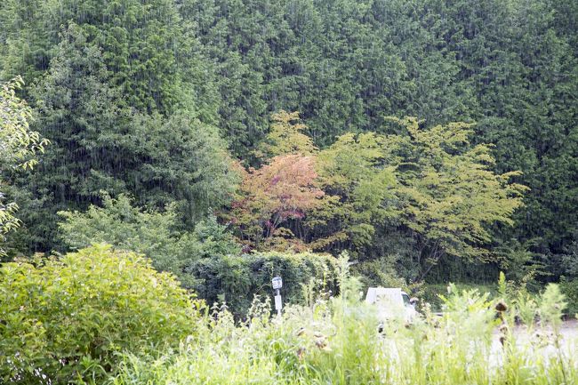 天気が良いのににわか雨、雨の線がわかるかな〜？