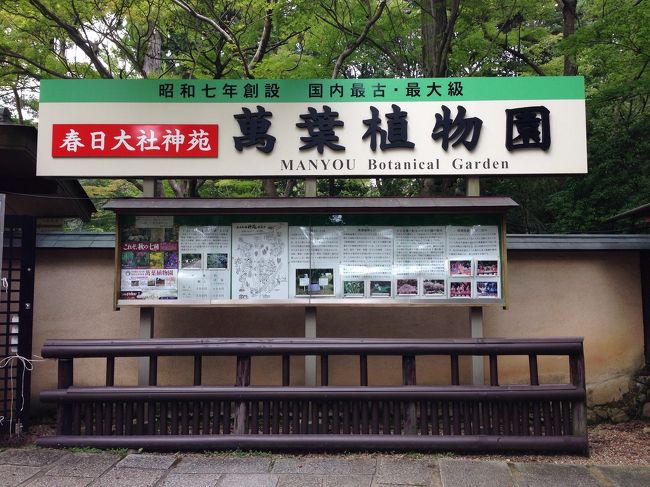 万葉植物園を見学しました。静かで落ち着く場所です。運よく『ナンバンキセル』が咲いていました。