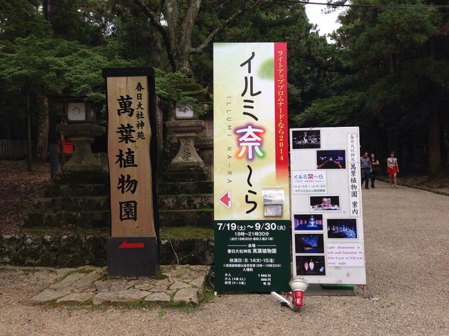 9/30まで夜間は『イルミ奈〜ら』を開催しています。ただし、入場料か昼間は500円、夜間は1,000円になります。
