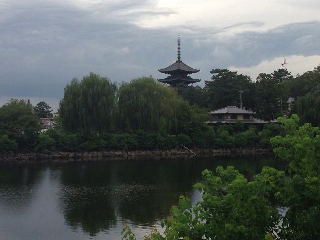 ホテルへ向かう途中に『興福寺』の五重塔が『荒池』越しに見えました。