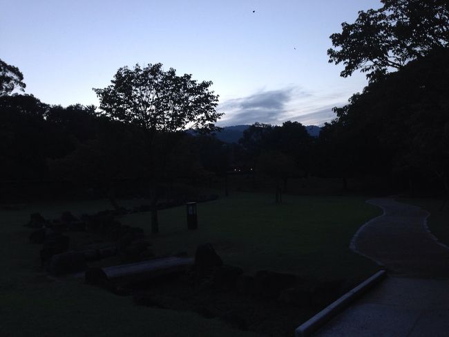 朝は5時に起きて、ホテル周辺を散歩です。写真だと相当暗そうですが、そんなことはありません。