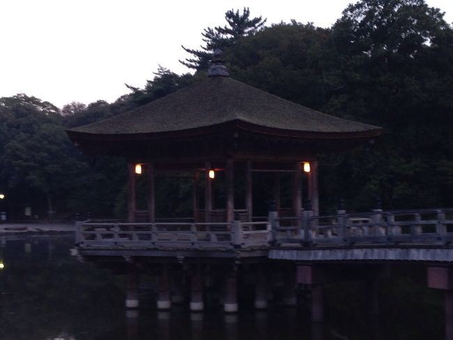 鷺池の浮御堂です。夜はライトアップされていたそうです。