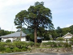 見帰りの滝の付近にある、医王寺さんです。