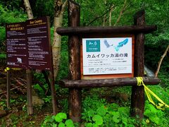 再びバスに乗り、カムイワッカ湯の滝へ！！

夏の時期はマイカー制限があり、バスでしか行けません。
五湖にバスで来たのもここに行くためでした。