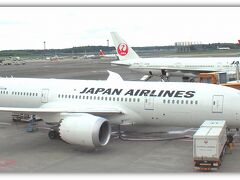 太いのか、細いのか....微妙な体付き。中肉中背の７８７。