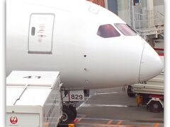 とっぽいスマートな顔つき。まあ、男前ではあります。