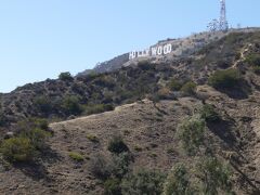 Hollywood Sign
昼食後、Hollywood Signまで山登り。