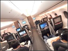 ・高圧配電装置→ナブテスコ
・補助動力装置→住友精密工業
・タイヤ→ブリヂストン
・エンジン→ＩＨＩ/川崎重工/三菱重工業
・ボディ→東レ
・バッテリー→ジェーエスユアサ
・機内ＡＶシステム→パナソニック　　他