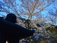 夜は清水寺の桜のライトアップ！！

暗くなるまでは安井金比羅宮と円山公園へ行ってました！


まだ完全に暗くなってないですが、私はこの時間帯の桜が好きでした
灯篭と一緒に撮るだけで京都らしさアップです！！ｗｗ
この日一眼レフデビューしたばかりだったので
ちょっとブレちゃいましたが、雰囲気的にはお気に入りのつもり(´ｪ｀；)三(；´ｪ｀)