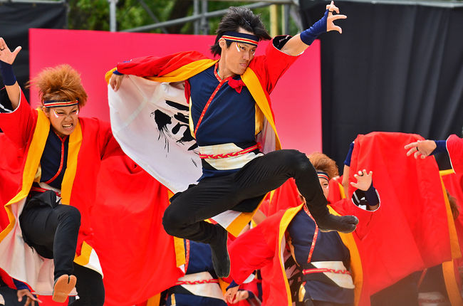 ど真ん中/どまつり名古屋学生チーム鯱衣装送料込み ど真ん中/どまつり名古屋学生チーム鯱衣装送料込み 4K] 名古屋