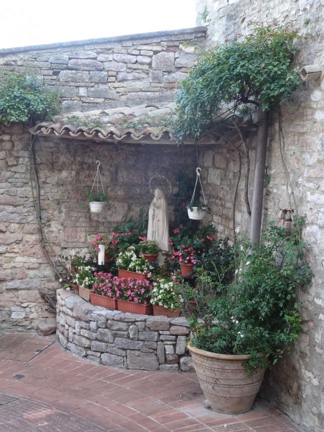 厳しい戒律の中でも、花を見て癒されるんだろうな。