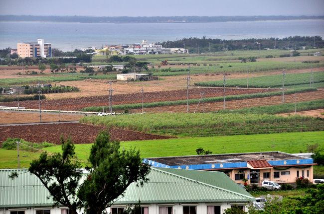 こっちはさとうきび畑。